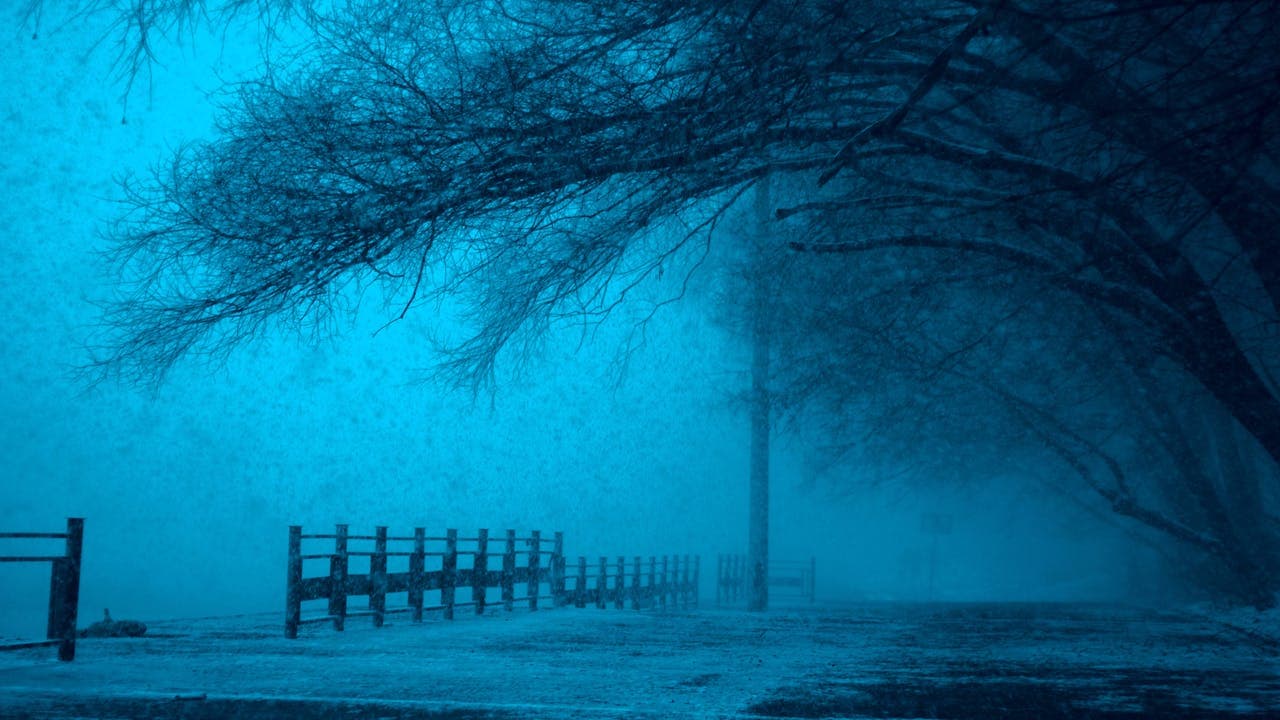 How to write a mystery or crime thriller - hazy blue path way with creepy trees - Photo by Pixabay for Pexels