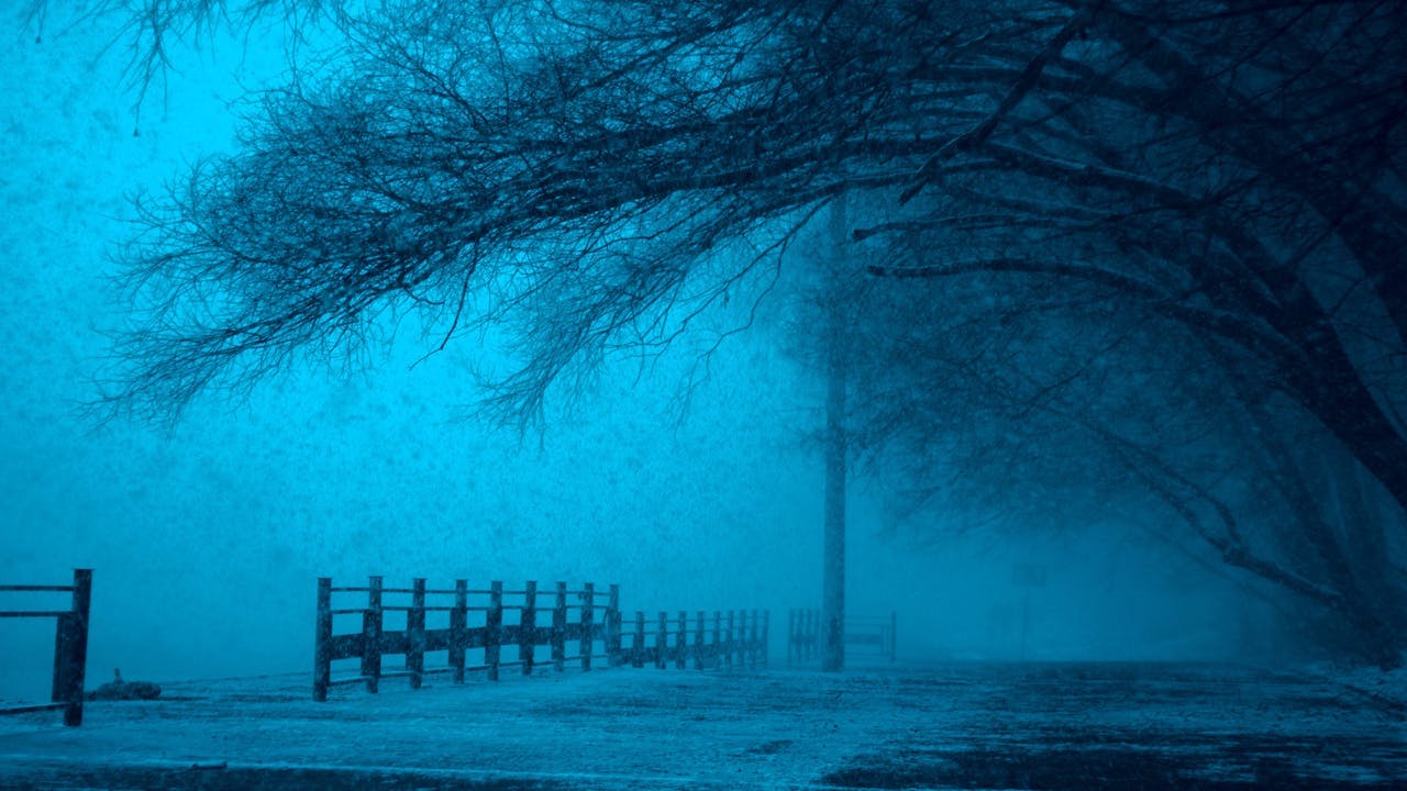 How to write a mystery or crime thriller - hazy blue path way with creepy trees - Photo by Pixabay for Pexels